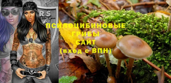 соль курить ск Дмитриев