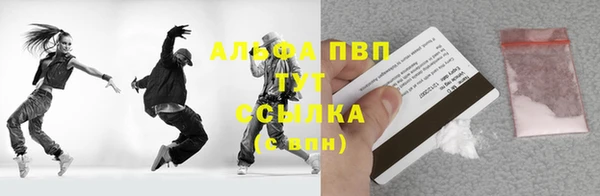 СК Дмитров