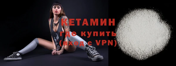 СК Дмитров