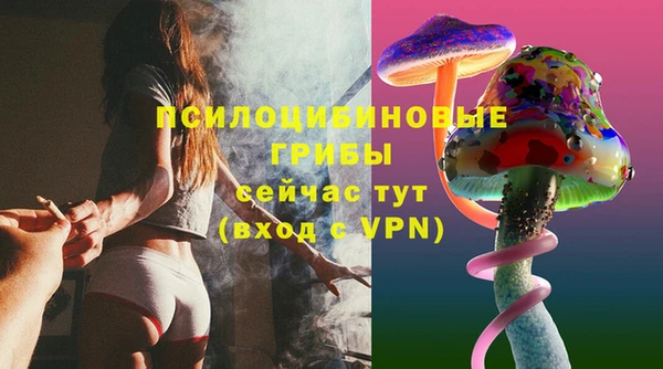 СК Дмитров
