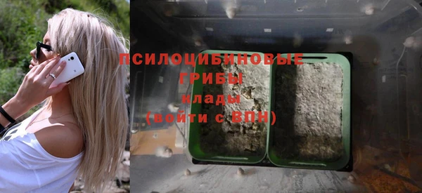 соль курить ск Дмитриев