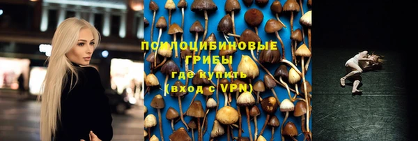 СК Дмитров