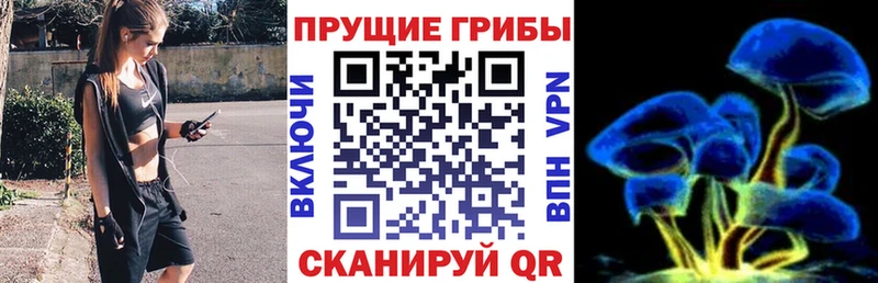 закладка даркнет наркотические препараты Галлюциногенные грибы прущие грибы Черкесск