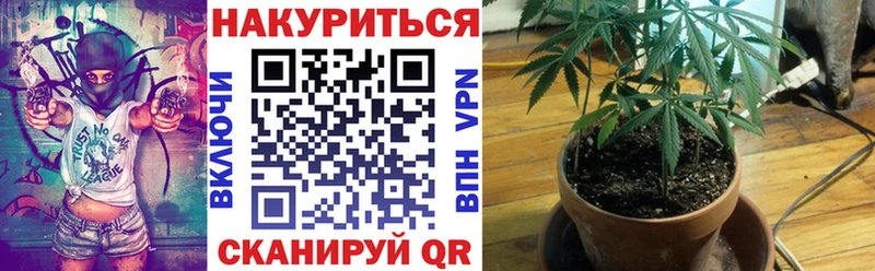 MEGA сайт Черкесск Шишки марихуана конопля наркошоп